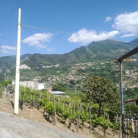 Casetta Dei Nonni Buonvicino