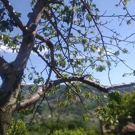 Nyaraló Casetta Dei Nonni Buonvicino